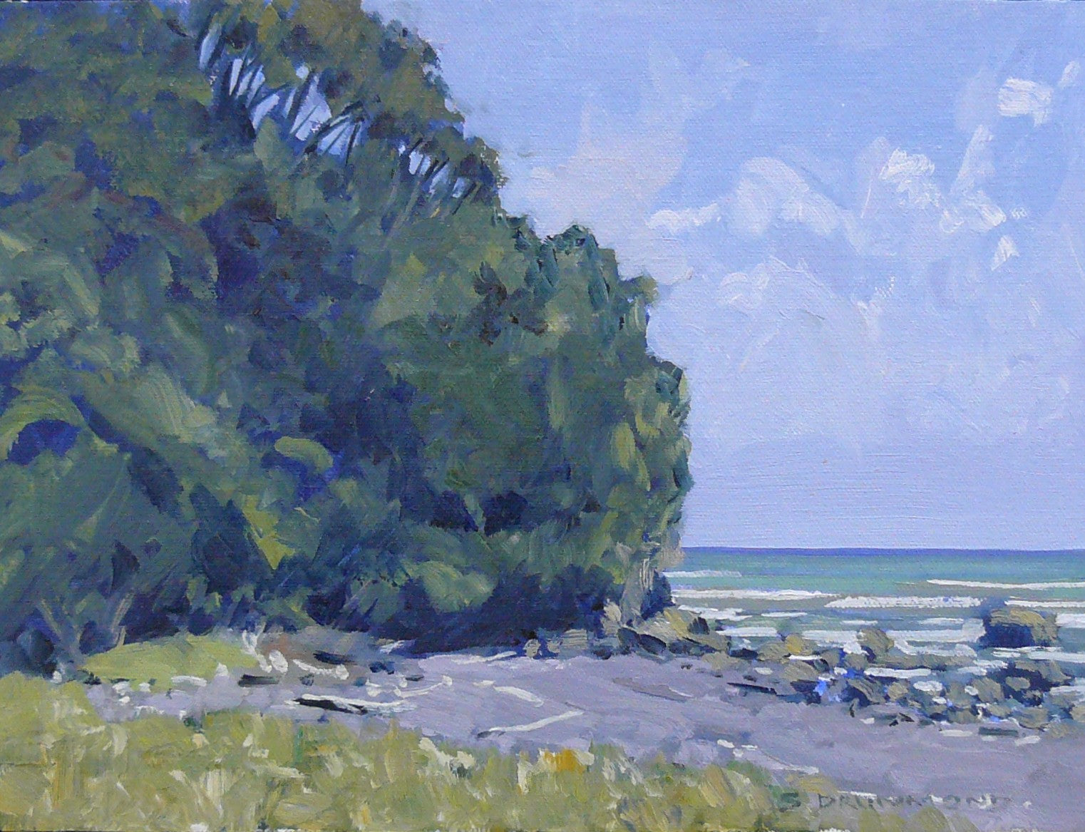 Beach and Bush, Lower Pitone Road