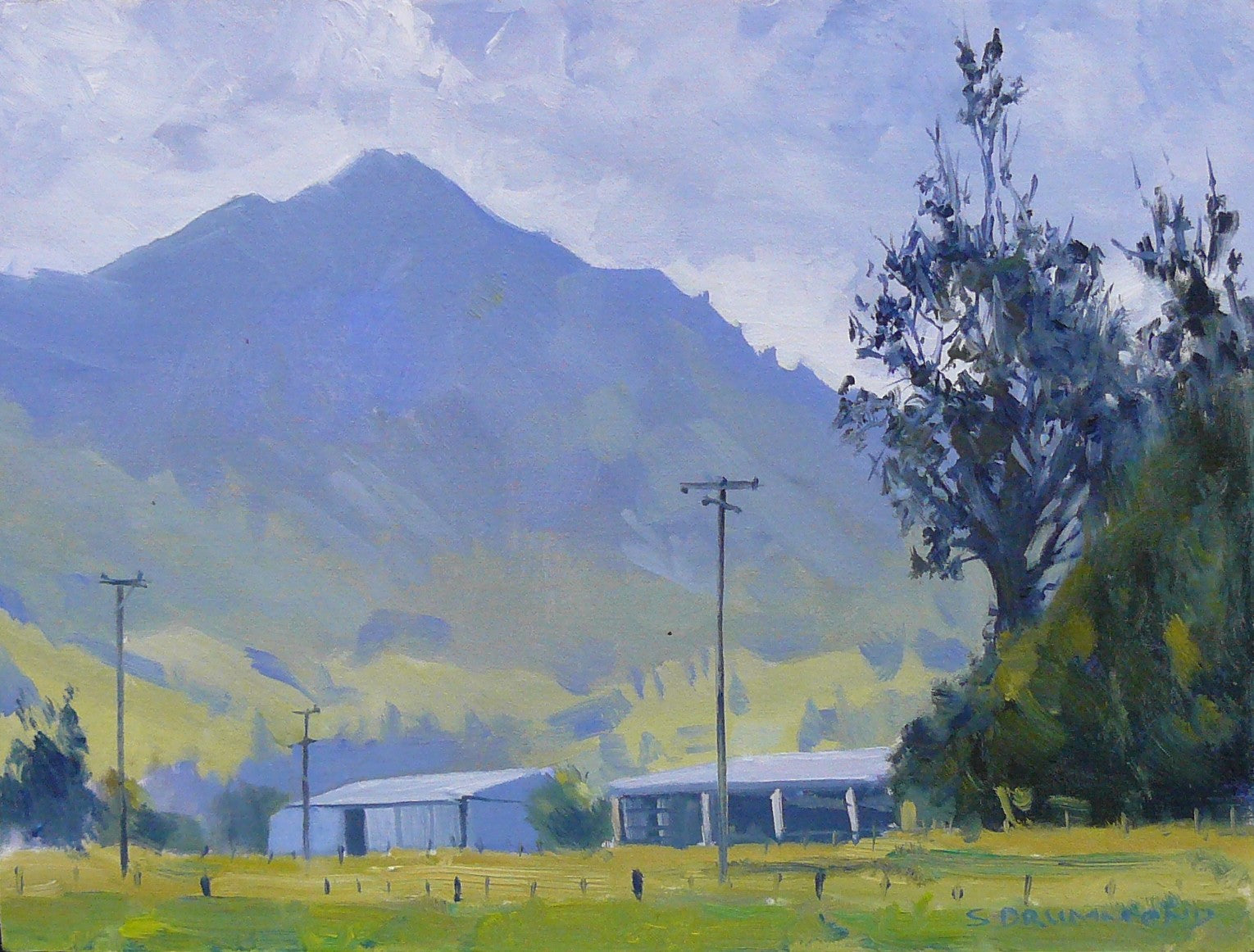 Kaitaki Range from Timaru Road