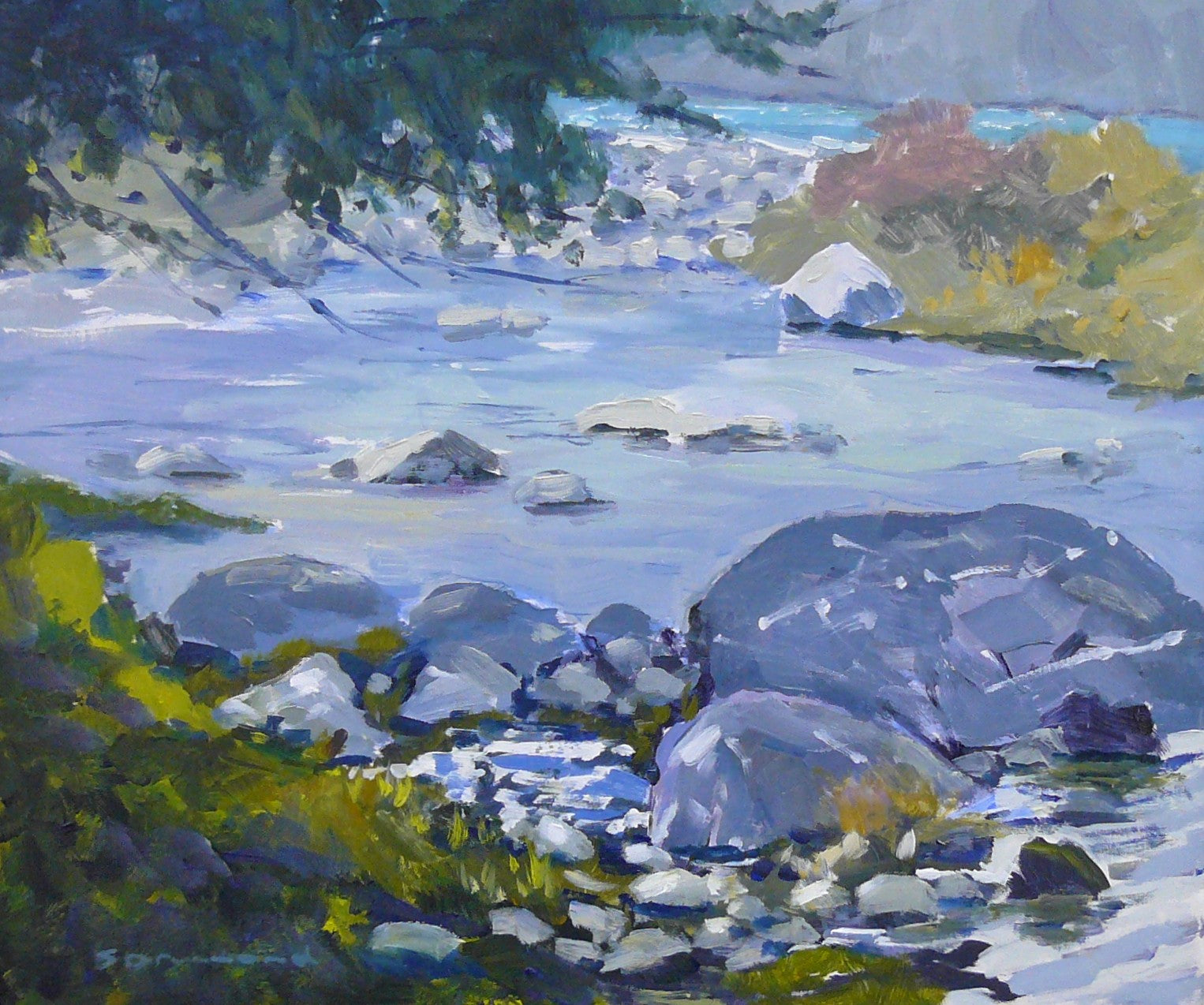 Maitland Stream Study