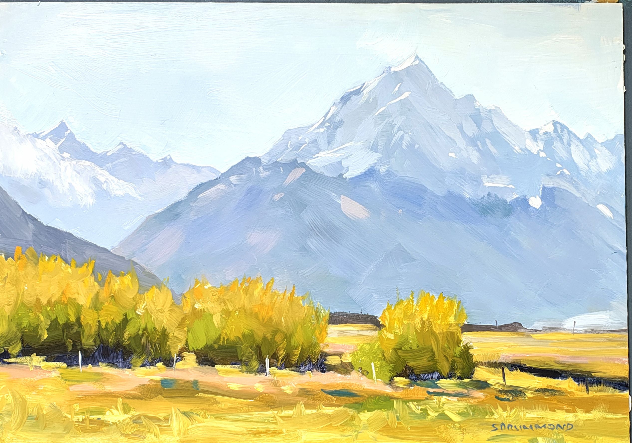 Mt Cook from Tasman Valley
