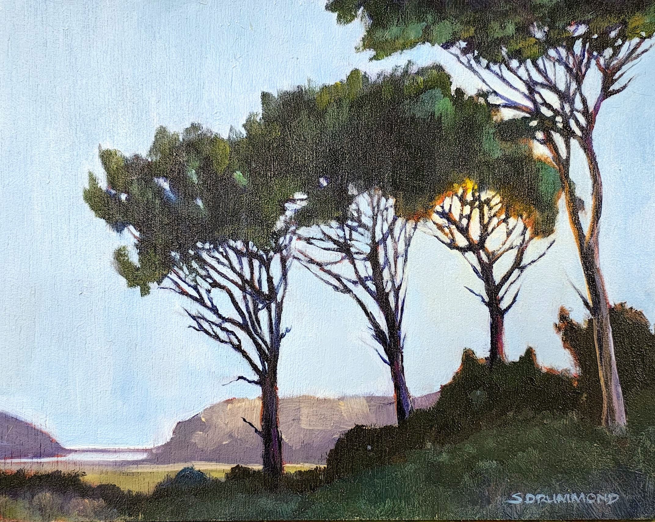 Haldane Estuary Trees *SOLD*