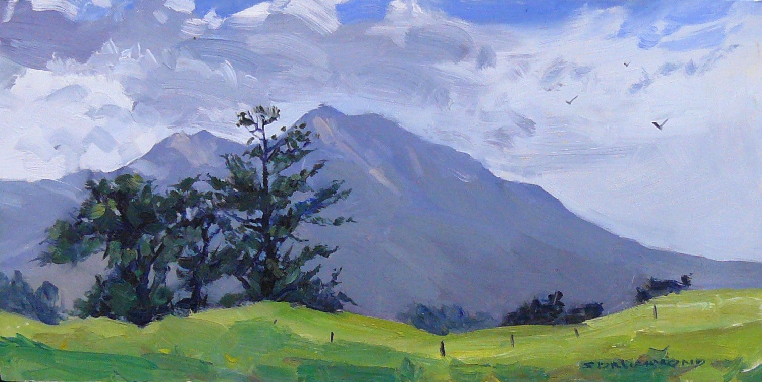 Pouakai Range from Kirihau Road