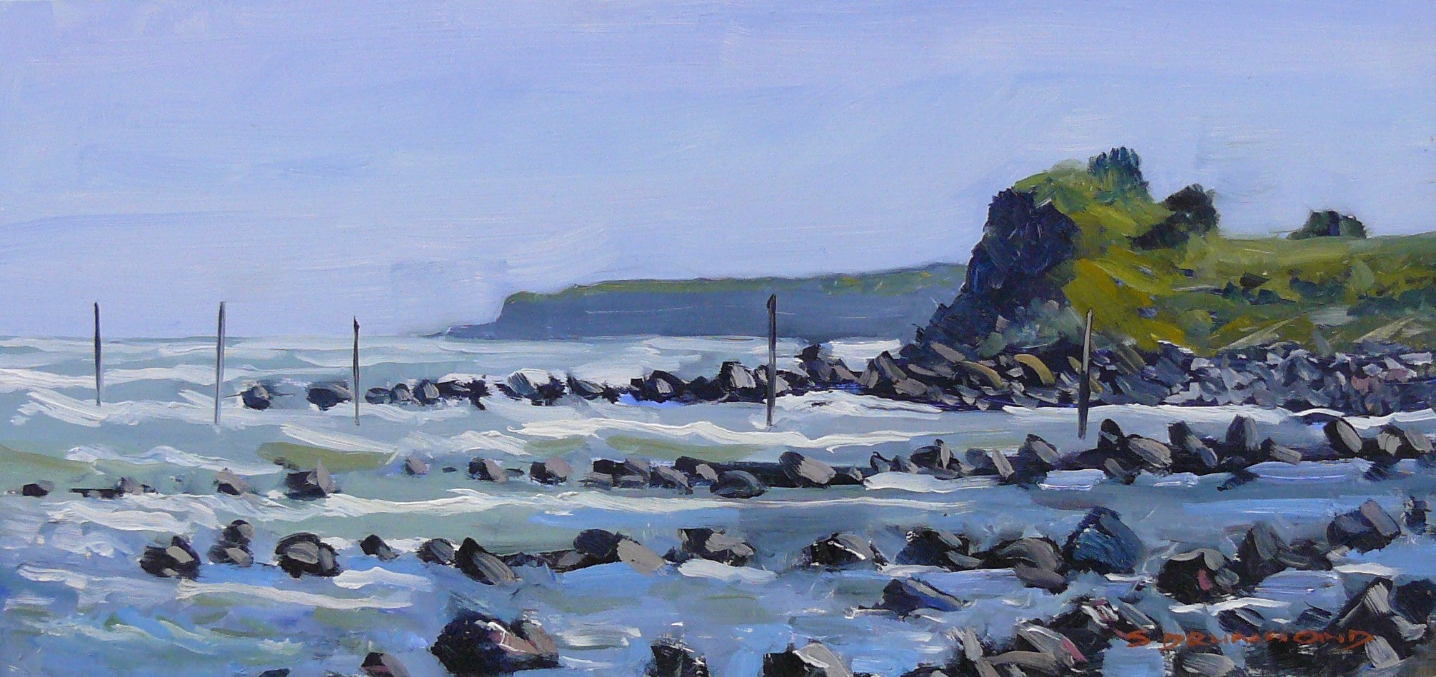 Taranaki Coast near Cape Egmont